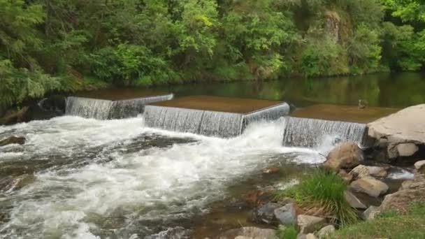 Interesting Weir Structure Snowy Creek Mitta Mitta North East Victoria — Stockvideo