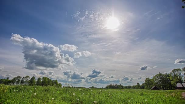 Static Shot White Cloud Movement Timelapse Wild Flowers Full Bloom — Stock Video