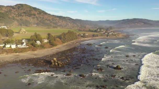 Mcvay Rock Brookings Oregon Hidden Gem Beach Known Locals — Wideo stockowe