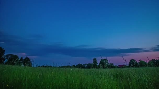 Cumulus Clouds Billow Grassy Meadow Trees Sunset Tranquil Countryside Time — Wideo stockowe