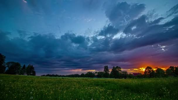 Brilliantly Colorful Sunset Overcast Day Field Wildflowers Wide Angle Time — Stock Video