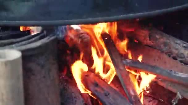 Traditional Stove Wood Burned Gives Fire Big Flame — Stock video