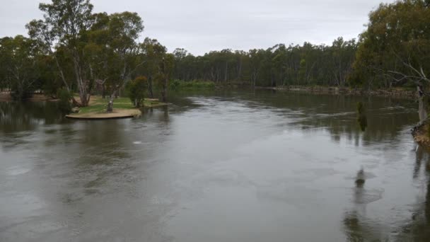 View Upstream Murray River Ball Park Lagoon John Foord Bridge — Wideo stockowe