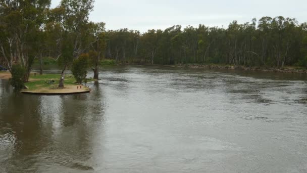 View Upstream Murray River John Foord Bridge Corowa Nsw Wahgunyah — 图库视频影像