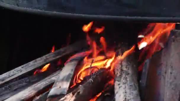 Traditional Stove Wood Burned Gives Fire Cook — Video Stock