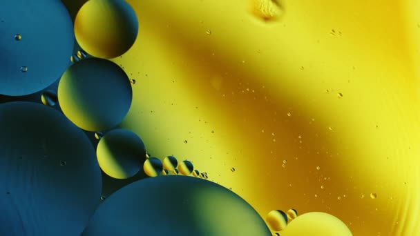 Реально Крупным Планом Масляные Пузырьки Воде Вращения Цветом Градиента Абстрактного — стоковое видео