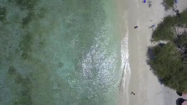 Coastal Strip Full Umbrellas Sun Bed Tranquil Aerial View Flight — Stockvideo