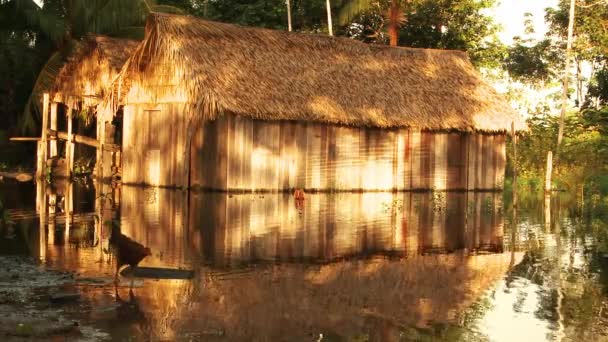 Two Huts Next Banks Amazon River Form Homes Native Indians – Stock-video