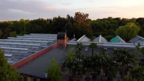 Metal Fence Palm Trees Greenhouse Glass House Dramatic Aerial View — Stockvideo