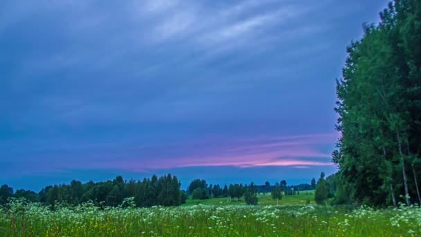 Cloudscape Field Wildflowers Brilliant Colors Sunset Wide Angle Static Time — Wideo stockowe