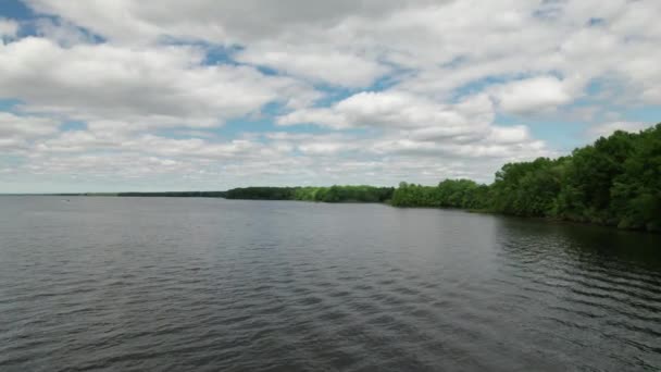 Drone View Lakeside Green Trees — ストック動画