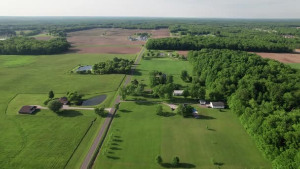 Drone View Roadside Farmland — Wideo stockowe