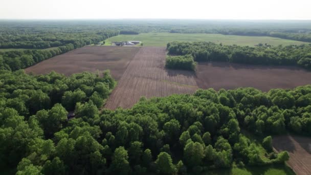Drone View Field Tree — Stockvideo