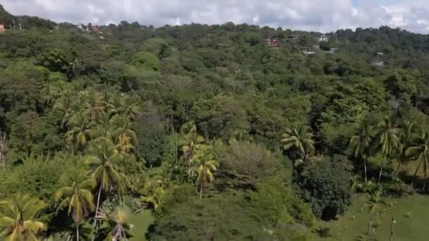 Birds Eye View Tropical Forest Coast Pacific Ocean — Vídeo de Stock