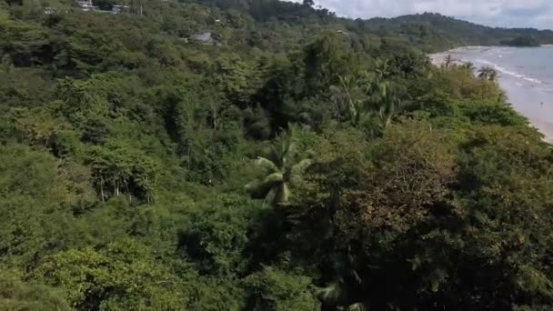 Wide View Drone Flight Tropical Forest Beautiful Sandy Beach Island — Wideo stockowe