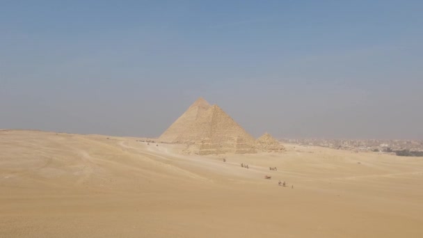 Blick Auf Den Pyramidenkomplex Der Wüste Bei Kairo Kameltour — Stockvideo