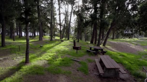 Cinematic Drone Shot Campground Picnic Tables Dense Forest Golden Hour — Video Stock