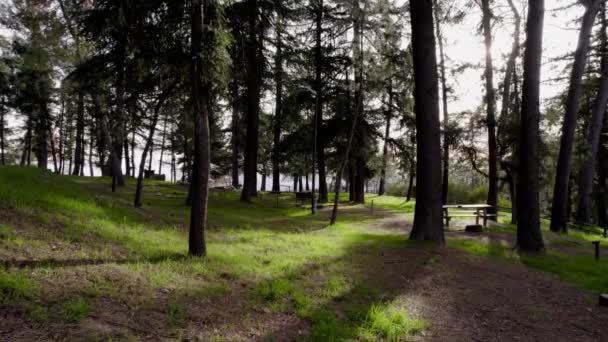Cinematic Drone Shot Campground Dense Forest Golden Hour — Vídeo de Stock