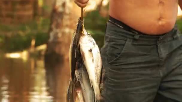 Pescador Indígena Caminando Casa Con Captura Del Día Río Amazonas — Vídeos de Stock