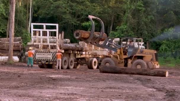 Människor Amazonas Regnskog Arbetar Avskogningsplats Lasta Avverkade Träden Lastbil Bredvid — Stockvideo