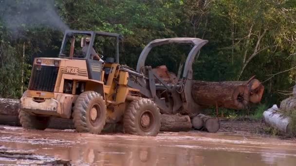 Seorang Pria Mengendarai Buldoser Besar Sebuah Situs Penggundulan Hutan Hutan — Stok Video