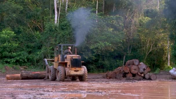 其中一辆大型推土机将砍伐的亚马逊森林中的树木推倒在一个毁林地点 — 图库视频影像