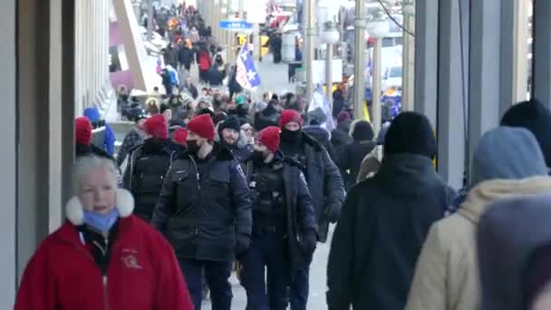 Pessoas Protesto Contra Restrições Covid Ottawa — Vídeo de Stock