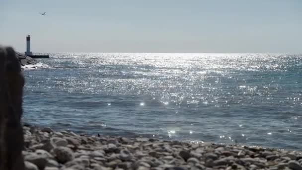 水边的灯塔 — 图库视频影像