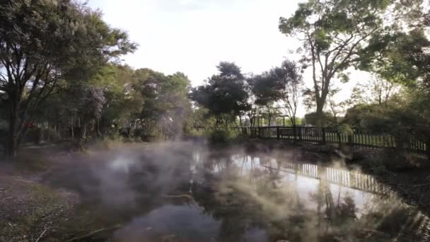 Tranquil Scene Morning Mist Floating Small Pond Waters Lush Vegetation — Stockvideo
