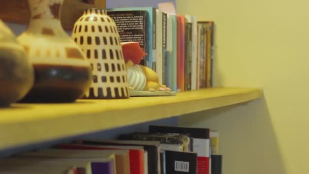 Downward Motion Book Shelf House Interior Close Books Organized Shelves — Video