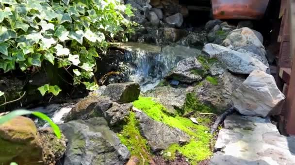 Babbling Brook Flowing Rocky Garden Slow Motion — стоковое видео