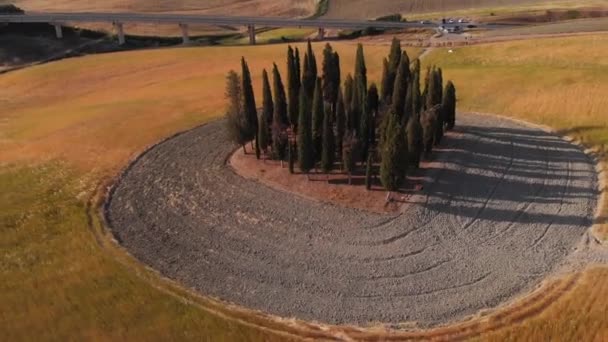 Aerial Shot Cypress Trees Hills Val Orcia Tuscany Italy — Vídeo de Stock