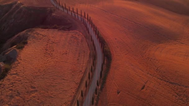 Aerial Shot Biker Traveling Val Orcia Tuscany Italy — Stockvideo