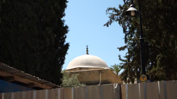 Still Shot Dome Mosque — 비디오