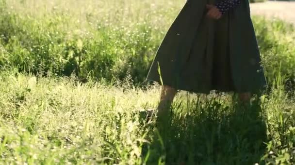 Joy Nature Scene Girl Long Skirt Walking Grass Tree Sunny — Αρχείο Βίντεο