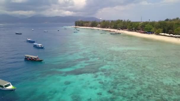 Cleanest Water Indonesia Turtle Beach Beautiful Aerial View Flight Fly — Video