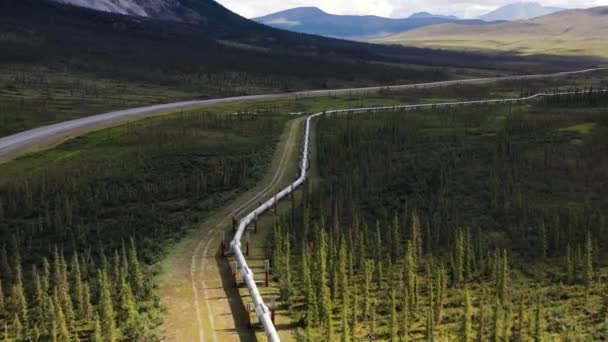 Aerial Shot Flying Trans Alaska Pipeline Running Beautiful Green Forest — Vídeo de stock