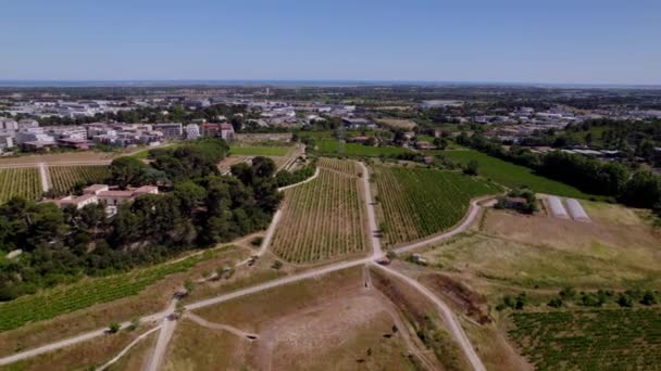Farm Land South France Montpellier — Vídeo de stock