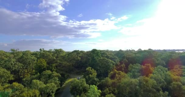 Aerial View Paved Road Middle Forest Trees Green Colors Middle — Vídeos de Stock