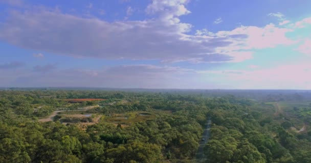 Aerial View City Surrounded Housing Green Environment Trees — Video Stock