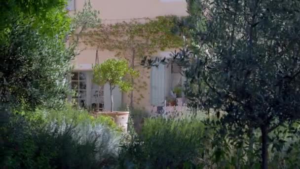 Rustic Mediterranean Villa Southern France Contemplative Garden Vines Dolly Left — Stok video