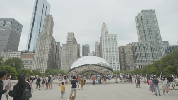 Chicago Usa Tourist Crowd Front Bean Landmark Millennium Park Downtown — Stock video