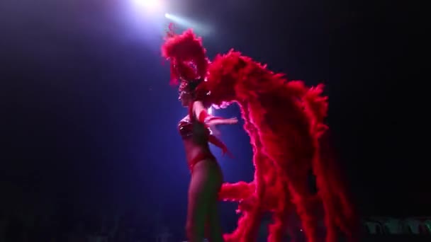 Χορεύτρια Φτερό Κοστούμι Κατά Διάρκεια Της Νυχτερινής Διασκέδασης Τσίρκο Στη — Αρχείο Βίντεο