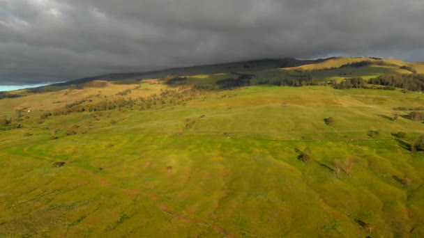 Beautiful Amazing Drone Maui Upcountry Highway Looking Haleakala Mountain February — Stock Video
