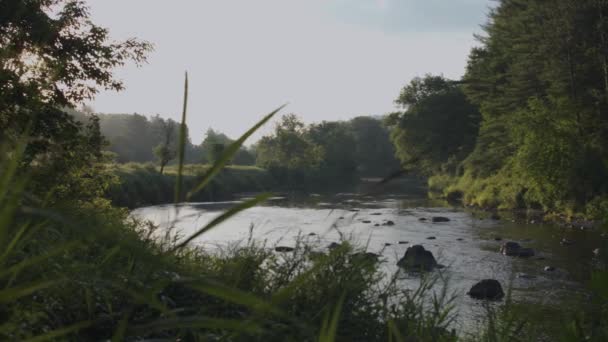 River Sunrise Pan Right — Video Stock