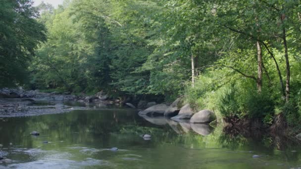 Misty Brook Pan Left — Stockvideo