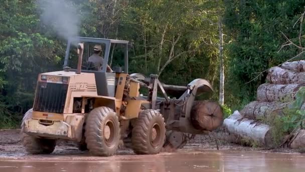 Stacking Logs Harvested Amazon Rainforest Tractor Loader Deforestation — Αρχείο Βίντεο