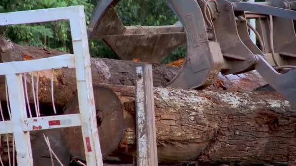 Amazon Deforestation Site Big Bulldozer Loads Stripped Trees Big Waiting — 图库视频影像