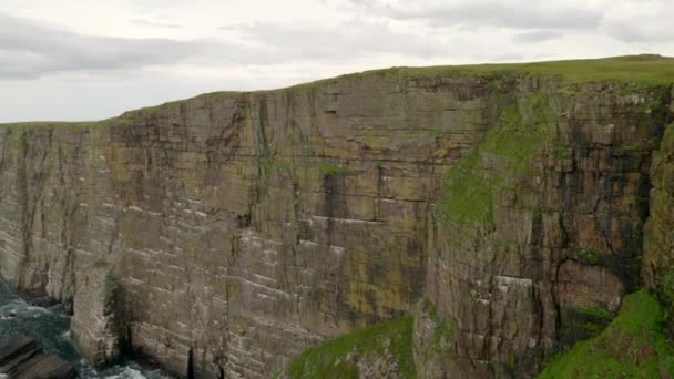 Slow Panning Shot Revealing Seabirds Flying Turquoise Green Ocean Front — Stockvideo