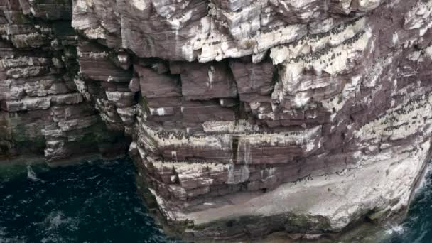 海鸟在碧绿的海洋上空飞行 撞在从海洋中升起的高耸的海堆的底部 上面布满了海鸟群中的海鸟 山猫和小猫 Handa Island Scotland — 图库视频影像